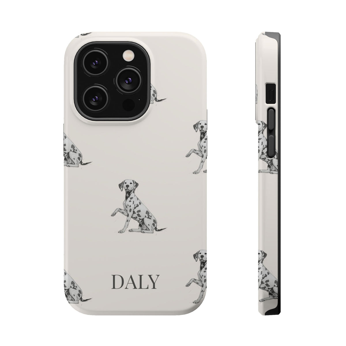 DALY Banks Case
