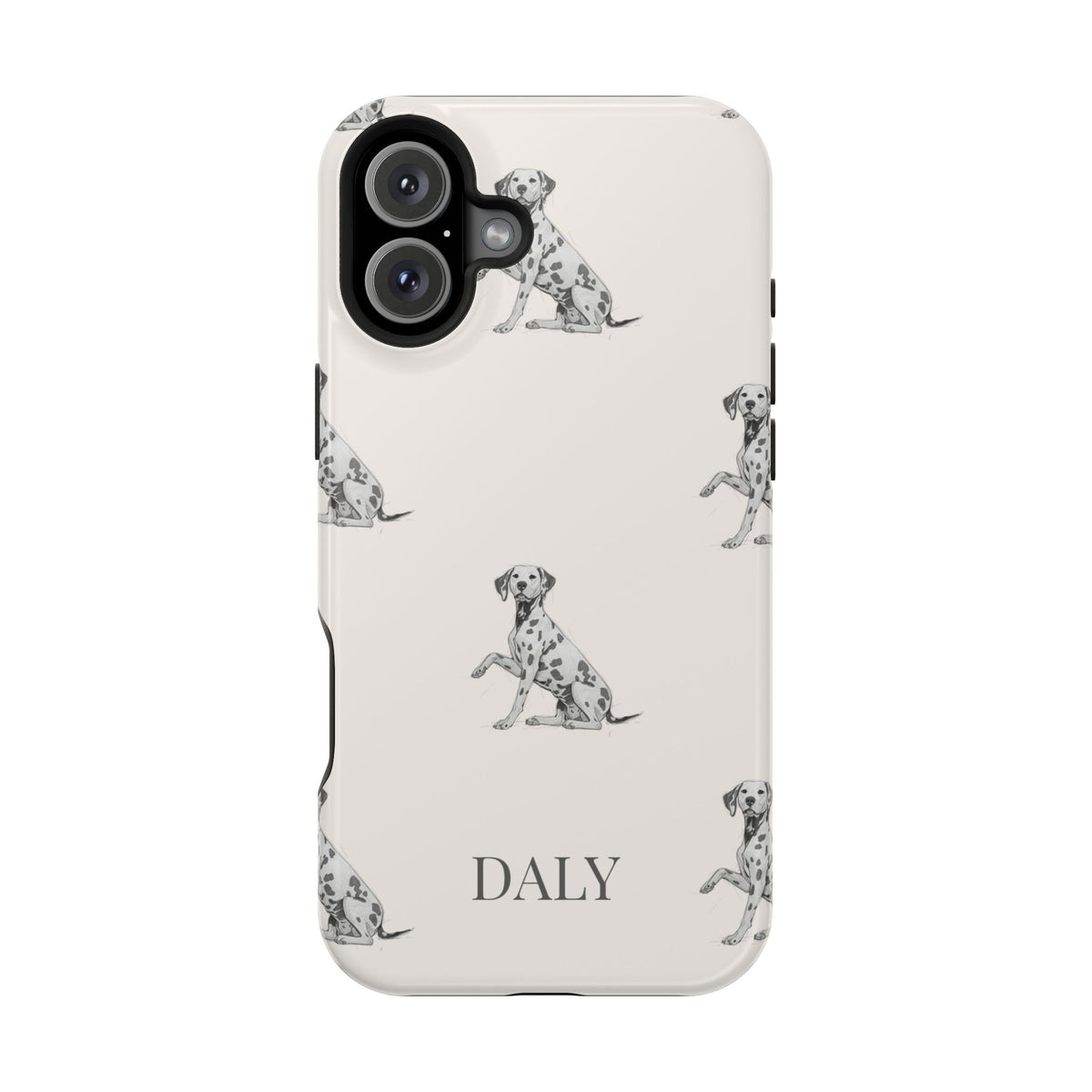 DALY Banks Case