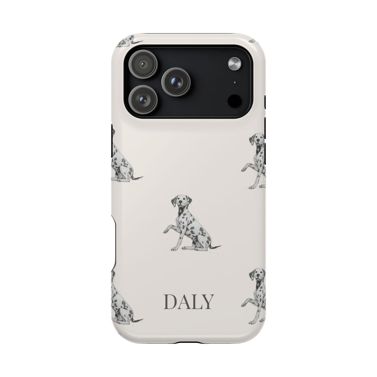 DALY Banks Case