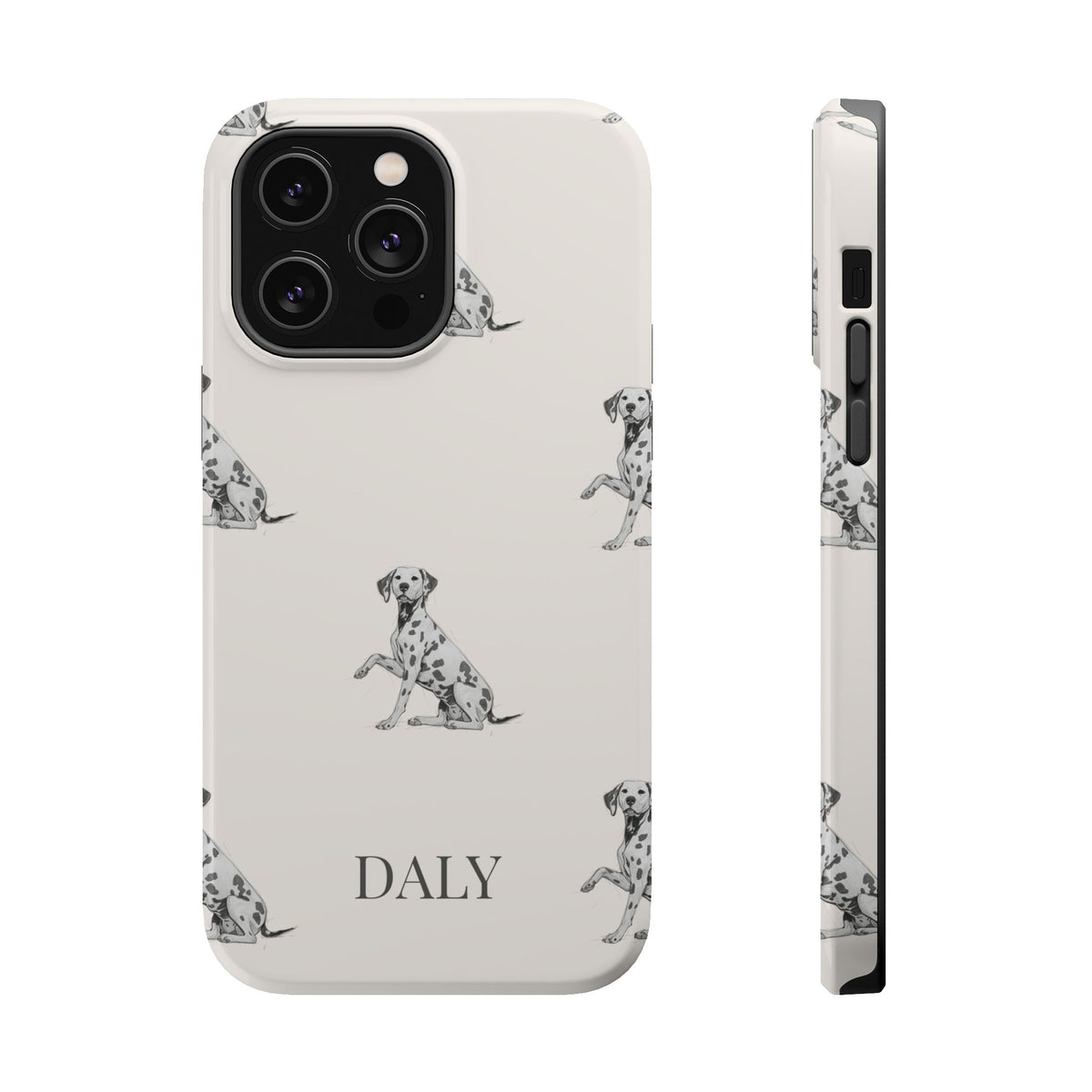 DALY Banks Case